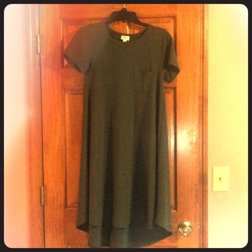 LuLaRoe Solid Hunter Carly Dress